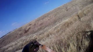 Охота на зайца 2015