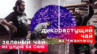 Дикорастущий чай из Чжанчжоу. Зеленый чай из улуна Басянь.