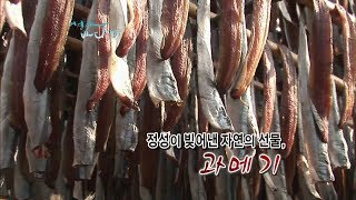 정성이 빚어낸 자연의 선물, 과메기 [어영차바다야]