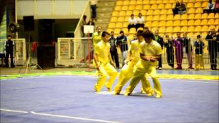 Wushu Chinese Team