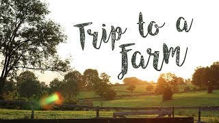 Hygge Holiday in the Country