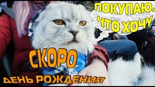КЕВИН ГОТОВИТСЯ КО ДНЮ РОЖДЕНИЯ | КОТ В МАГАЗИНЕ