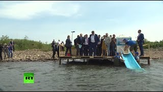 Путин выпустил в Байкал мальков омуля