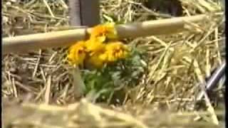 El Jardin de Emilia Hazelip PARTE 1