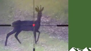 Roe, range finders and Russian scopecam