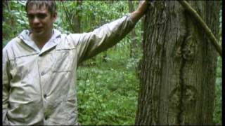 Детский образовательный лагерь Гринпис - 2009, 2-я смена