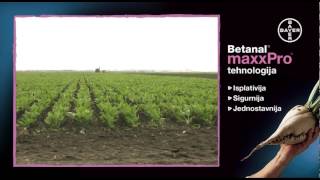 Betanal maxxPro tehnologija