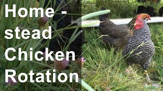 vlog: Homestead Chicken Rotation 7-1-2016