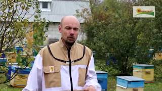 О прошедшем сезоне