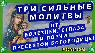 ТРИ СИЛЬНЫЕ МОЛИТВЫ ОТ БОЛЕЗНЕЙ, СГЛАЗА И ПОРЧИ ПРЕСВЯТОЙ БОГОРОДИЦЕ! РАБОТАЕТ 100%!✝☦