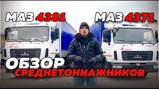 ЗУБРЯТА МАЗ 4371 и 4381. ПОЧЕМУ МАЗ ЛУЧШЕ ГАЗОНА И КАМАЗА? ОБЗОР И СРАВНЕНИЕ СРЕДНЕТОННАЖНИКОВ МАЗ