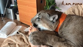 Наш девиз 4 слова: чистый сам - помой другого (с) пума Месси If you're clean, wash your family.