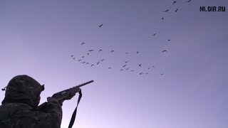 Охота на гуся.(Весна). Hunting for a Goose