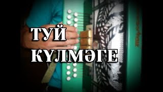 ТУЙ КУЛМЭГЕ на гармони + разбор.