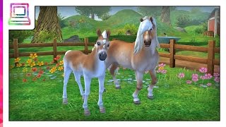 Star Stable Horses - My Haflinger Horse Evolution (Horse Game)
