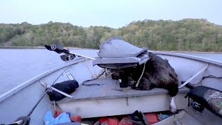 Turkey Hunting by Boat 2016