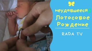 Как и когда перерезать пуповину ребенку при родах или Лотосовое Рождение? Надувная ванночка