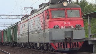Электровоз ВЛ11.8-831 с грузовым поездом, станция Авсюнино