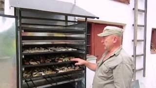 Сушарка для грибів та фруктів