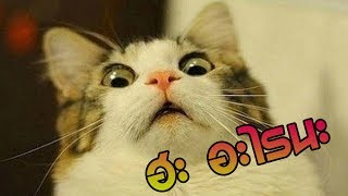 ยามาทั่มสตูดิโอ Game Dev Story #1