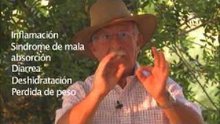 Primeiro Alimento - Parte 1