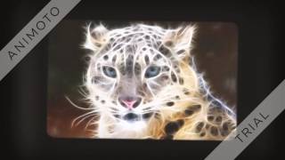 Мантра убирает Порчу, Сглаз, Негатив. Mantra against negativ