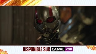 Ant-Man et La Guêpe - Disponible dès maintenant en achat digital