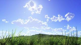 432 Hz 음악:평화로운 음악ㅣ반복재생ㅣPeaceful Music-명상음악,치료음악,차크라, Meditation, Music therapy, Chakra