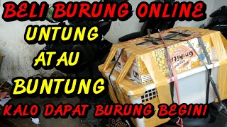 NEKAT HABISKAN JUTAAN RUPIAH BELI BURUNG ONLINE
