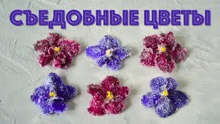 Как ЗАСАХАРИТЬ цветы ☆ Необычный декор и ПОДАРОК