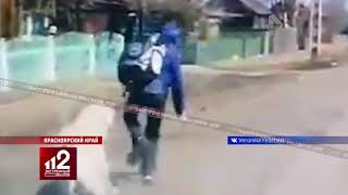 Огромный Алабай нападает на школьника. Шок!