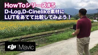 [HowTo#5]D-Log,D-Cinelike撮影素材にLUTをあてて色補正してみよう！in ひまわり畑 D-Log+LUT apply color correction