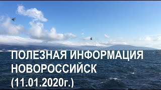 Три вещи, которые нужно знать перед переездом в город Новороссийск Краснодарского края (11.01.2020г)