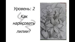 2 уровень. Как НАРИСОВАТЬ ЛИЛИИ? 2 часть