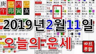 오늘의운세 2019년 2월 11일 사주팔자 사주풀이 사업운 재물운 보는 쉬운 방법