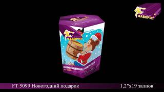 Батарея салютов "Новогодний подарок" (FT 5099)