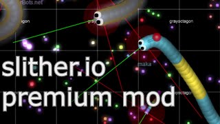slither.io premium mod  (in progress)