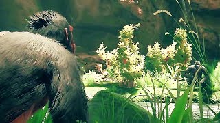 ANCESTORS THE HUMANKIND ODYSSEY Gameplay Trailer (2019) PS4 / Xbox One / PC