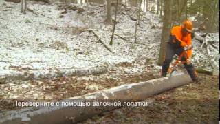 Распиловка бревна на земле бензопилой STIHL. Купить у дилера в Харькове!