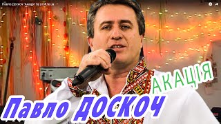 Павло Доскоч "Акація" by profi.te.ua
