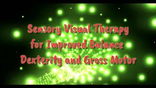 Sensory Visual Therapy Light Tunnel