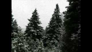 Τρώτε για να πίνουμε (Πωγώνι) - Ηπειρώτικα τραγούδια
