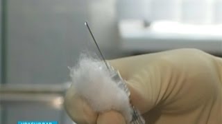 Не привитые от гриппа кубанцы не смогут поехать на Кремлевскую елку