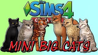 Mini Big Cats Family : Create A Pet : Sims 4 Cats And Dogs