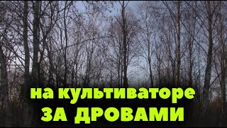 На культиваторе за дровами
