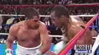 The fastest boxers of all time Part 2