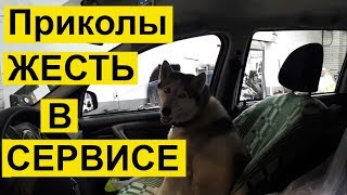 ПРИКОЛЫ, ЖЕСТЬ В СЕРВИСЕ 2018