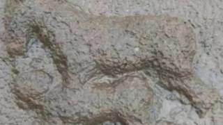 Women and donkey sex ? history of old time