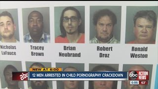 Polk sheriff: 12 charged in child porn sting