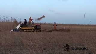 Reed Harvesting System - Wetland Tractor - Softrak 120